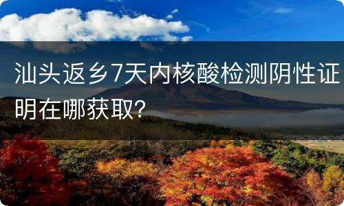 汕头返乡7天内核酸检测阴性证明在哪获取？
