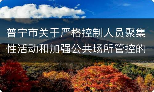 普宁市关于严格控制人员聚集性活动和加强公共场所管控的通告