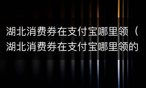 湖北消费券在支付宝哪里领（湖北消费券在支付宝哪里领的）