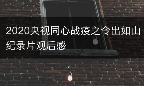2020央视同心战疫之令出如山纪录片观后感