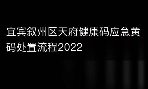 宜宾叙州区天府健康码应急黄码处置流程2022