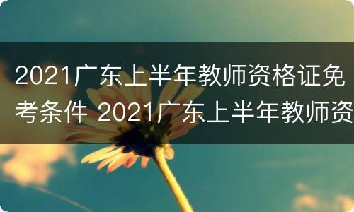 2021广东上半年教师资格证免考条件 2021广东上半年教师资格证免考条件有哪些