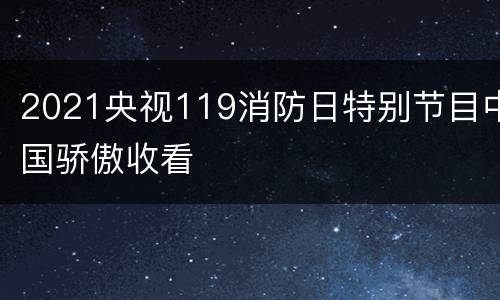 2021央视119消防日特别节目中国骄傲收看