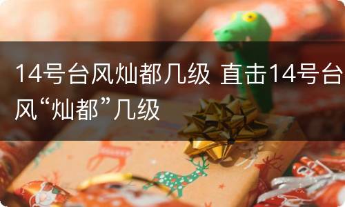 14号台风灿都几级 直击14号台风“灿都”几级