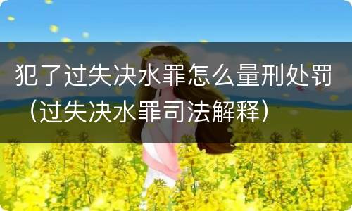 放行偷越国 放行偷越国边境人员罪的主体是