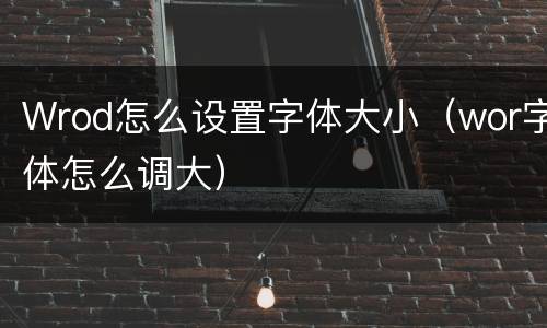 Wrod怎么设置字体大小（wor字体怎么调大）