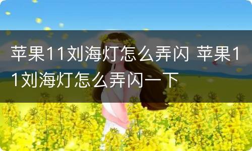 苹果11刘海灯怎么弄闪 苹果11刘海灯怎么弄闪一下