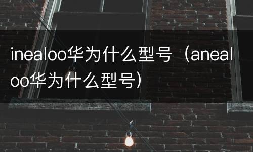 inealoo华为什么型号（anealoo华为什么型号）