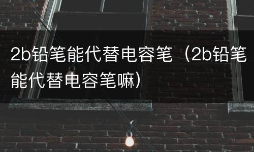 2b铅笔能代替电容笔（2b铅笔能代替电容笔嘛）