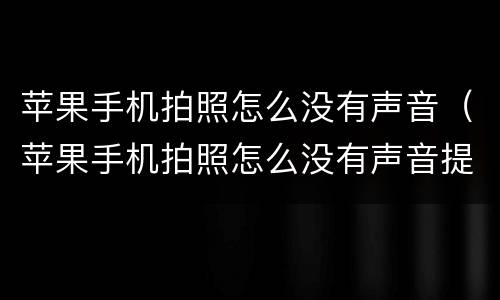 苹果手机拍照怎么没有声音（苹果手机拍照怎么没有声音提示）
