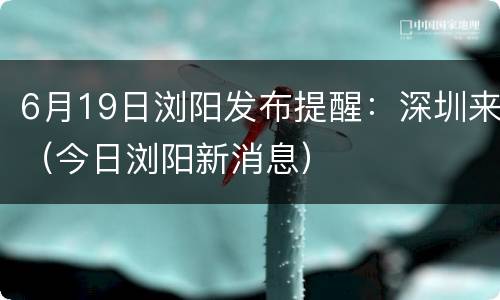 6月19日浏阳发布提醒：深圳来（今日浏阳新消息）