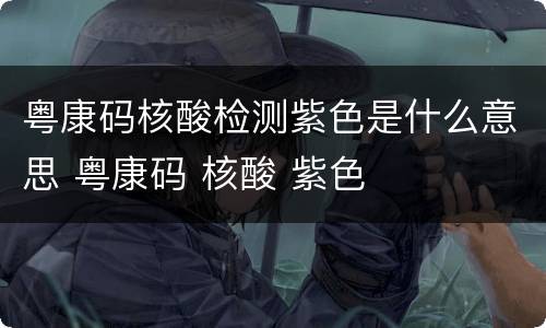 粤康码核酸检测紫色是什么意思 粤康码 核酸 紫色