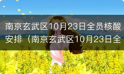 南京玄武区10月23日全员核酸安排（南京玄武区10月23日全员核酸安排）