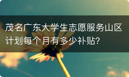 茂名广东大学生志愿服务山区计划每个月有多少补贴？