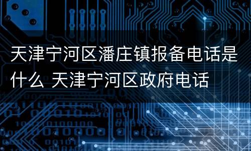 天津宁河区潘庄镇报备电话是什么 天津宁河区政府电话