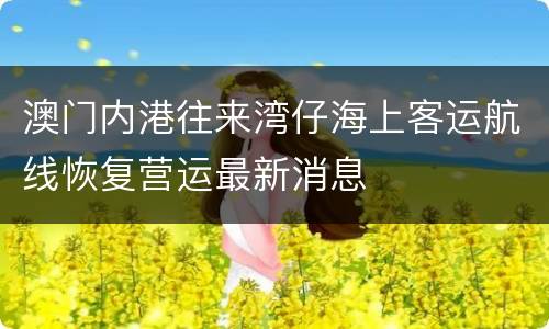 澳门内港往来湾仔海上客运航线恢复营运最新消息