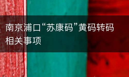 南京浦口“苏康码”黄码转码相关事项
