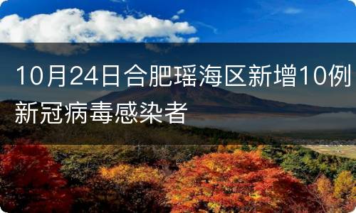 10月24日合肥瑶海区新增10例新冠病毒感染者