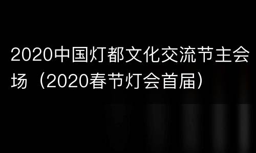 2020中国灯都文化交流节主会场（2020春节灯会首届）
