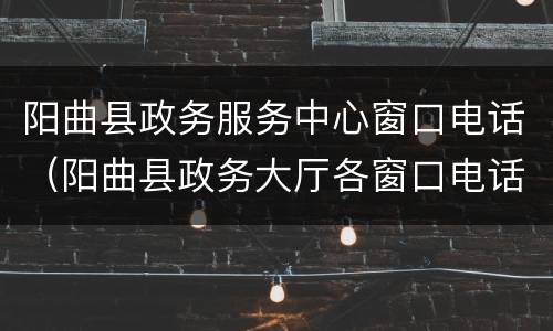 阳曲县政务服务中心窗口电话（阳曲县政务大厅各窗口电话）