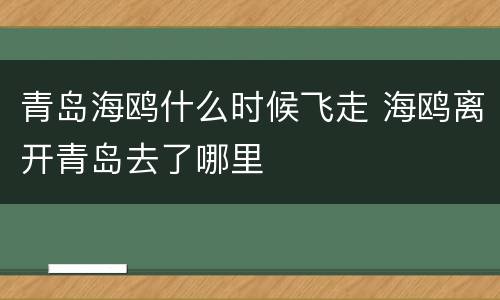 青岛海鸥什么时候飞走 海鸥离开青岛去了哪里