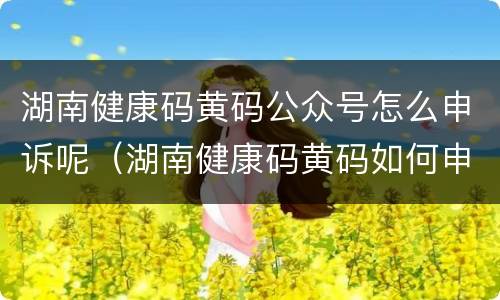 湖南健康码黄码公众号怎么申诉呢（湖南健康码黄码如何申诉）