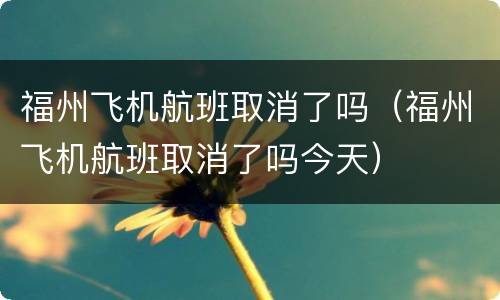 福州飞机航班取消了吗（福州飞机航班取消了吗今天）