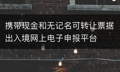 携带现金和无记名可转让票据出入境网上电子申报平台