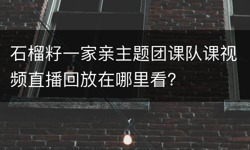 石榴籽一家亲主题团课队课视频直播回放在哪里看？
