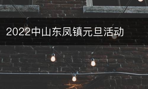 2022中山东凤镇元旦活动