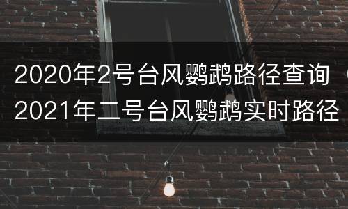 2020年2号台风鹦鹉路径查询（2021年二号台风鹦鹉实时路径）