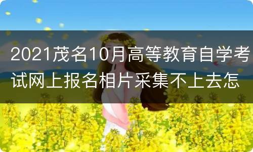 2021茂名10月高等教育自学考试网上报名相片采集不上去怎么办？