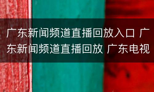 广东新闻频道直播回放入口 广东新闻频道直播回放 广东电视台