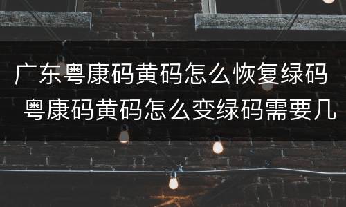广东粤康码黄码怎么恢复绿码 粤康码黄码怎么变绿码需要几天