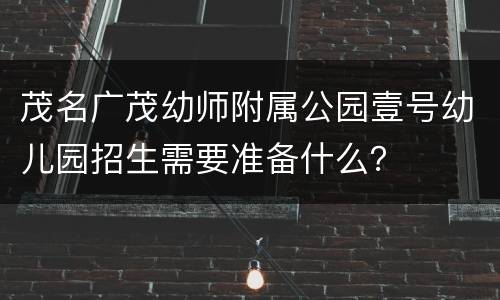 茂名广茂幼师附属公园壹号幼儿园招生需要准备什么？