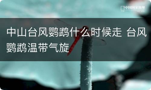 中山台风鹦鹉什么时候走 台风鹦鹉温带气旋