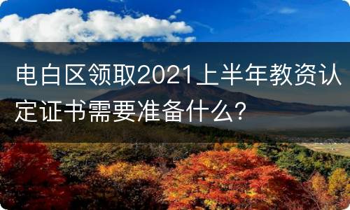 电白区领取2021上半年教资认定证书需要准备什么？