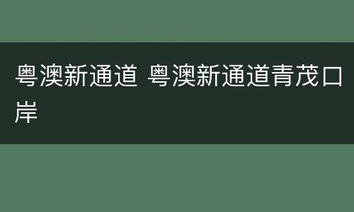 粤澳新通道 粤澳新通道青茂口岸
