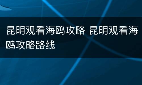 昆明观看海鸥攻略 昆明观看海鸥攻略路线