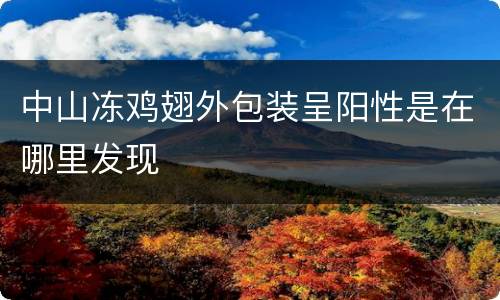 中山冻鸡翅外包装呈阳性是在哪里发现