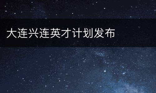 大连兴连英才计划发布
