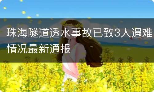珠海隧道透水事故已致3人遇难情况最新通报