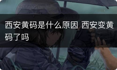 西安黄码是什么原因 西安变黄码了吗