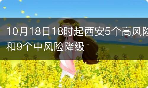 10月18日18时起西安5个高风险和9个中风险降级