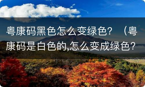 粤康码黑色怎么变绿色？（粤康码是白色的,怎么变成绿色?）