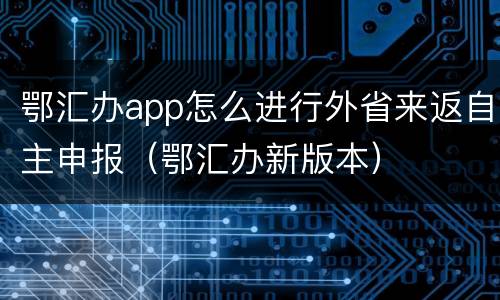 鄂汇办app怎么进行外省来返自主申报（鄂汇办新版本）