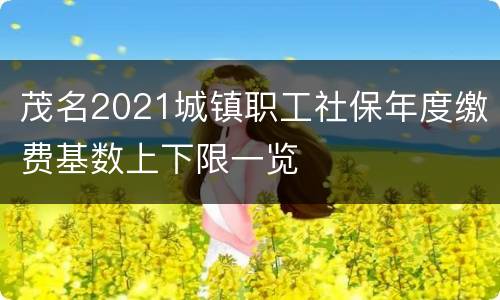 茂名2021城镇职工社保年度缴费基数上下限一览