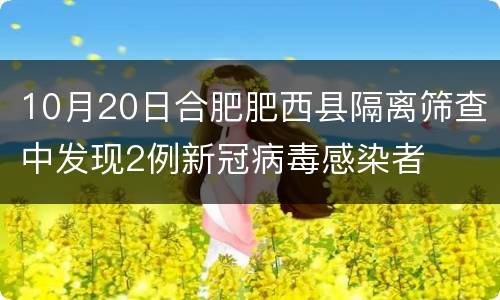 10月20日合肥肥西县隔离筛查中发现2例新冠病毒感染者