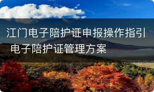 江门电子陪护证申报操作指引 电子陪护证管理方案