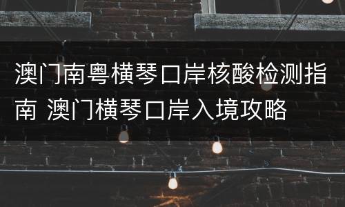澳门南粤横琴口岸核酸检测指南 澳门横琴口岸入境攻略
